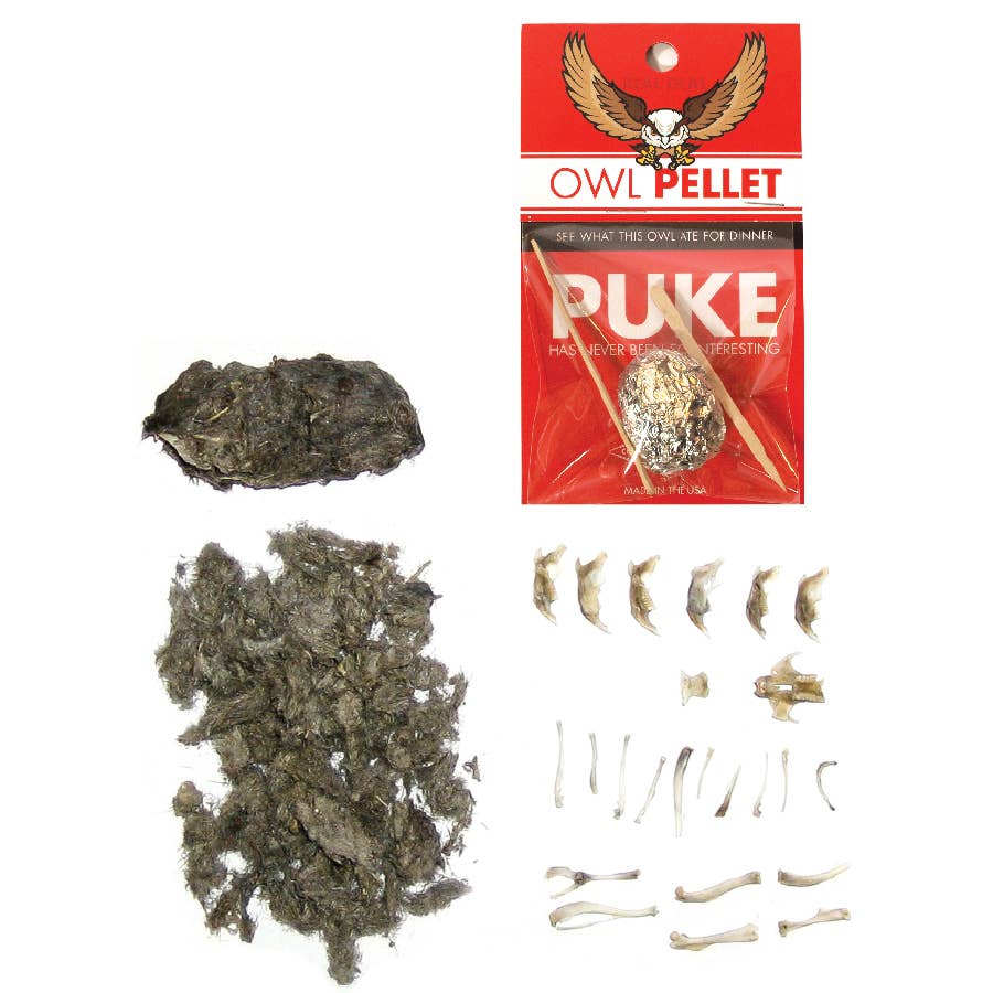 Owl Pellet Curiosities