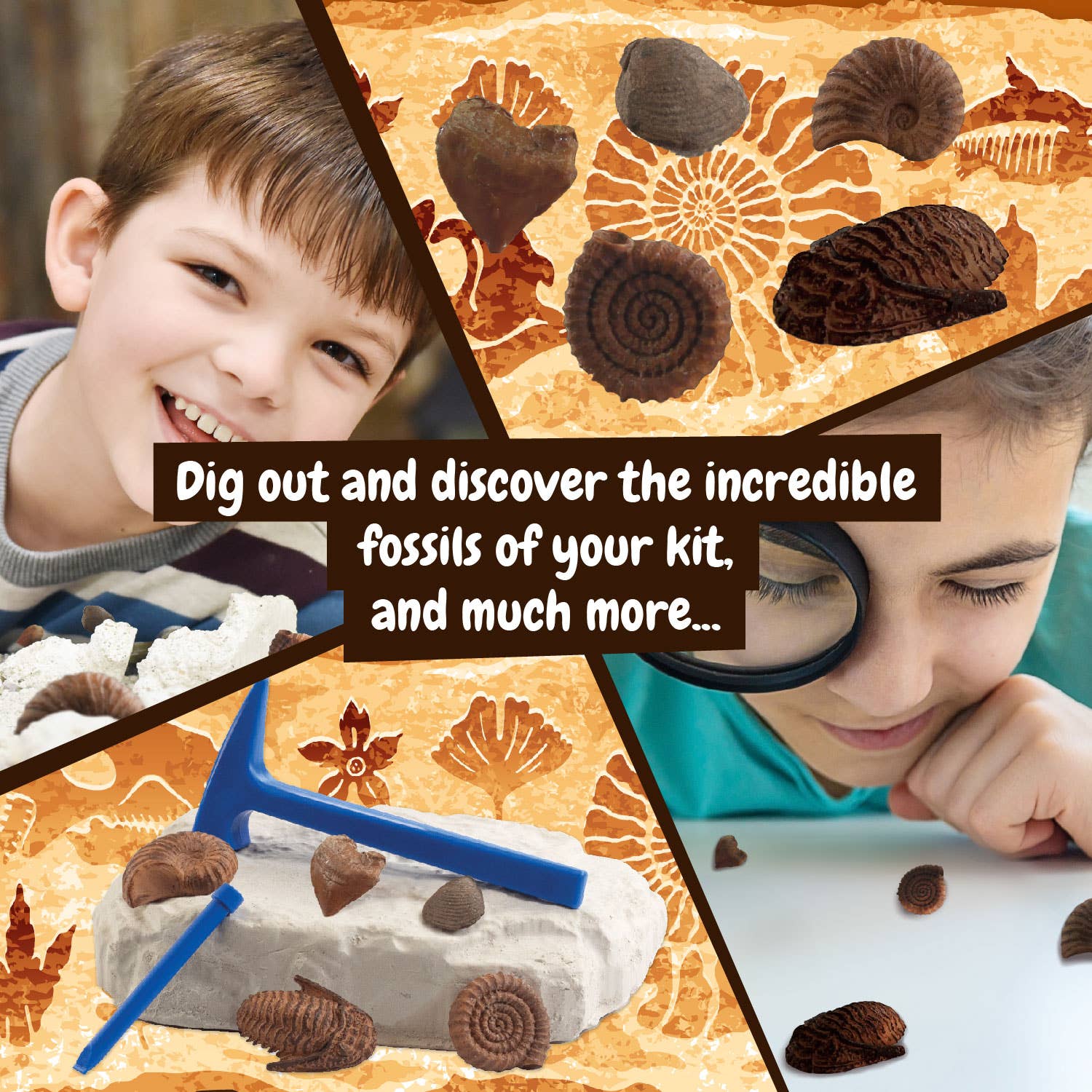 Fossils Excavations for Kids (Educational Toy 7 languages)