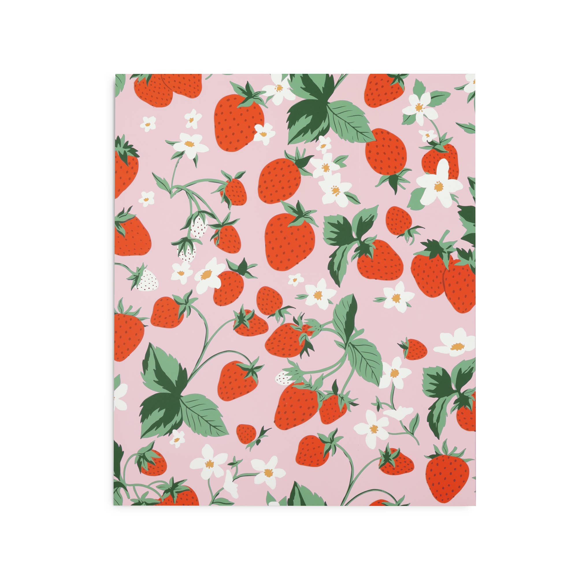 Pocket Folder Set (Flowers and Fruit)