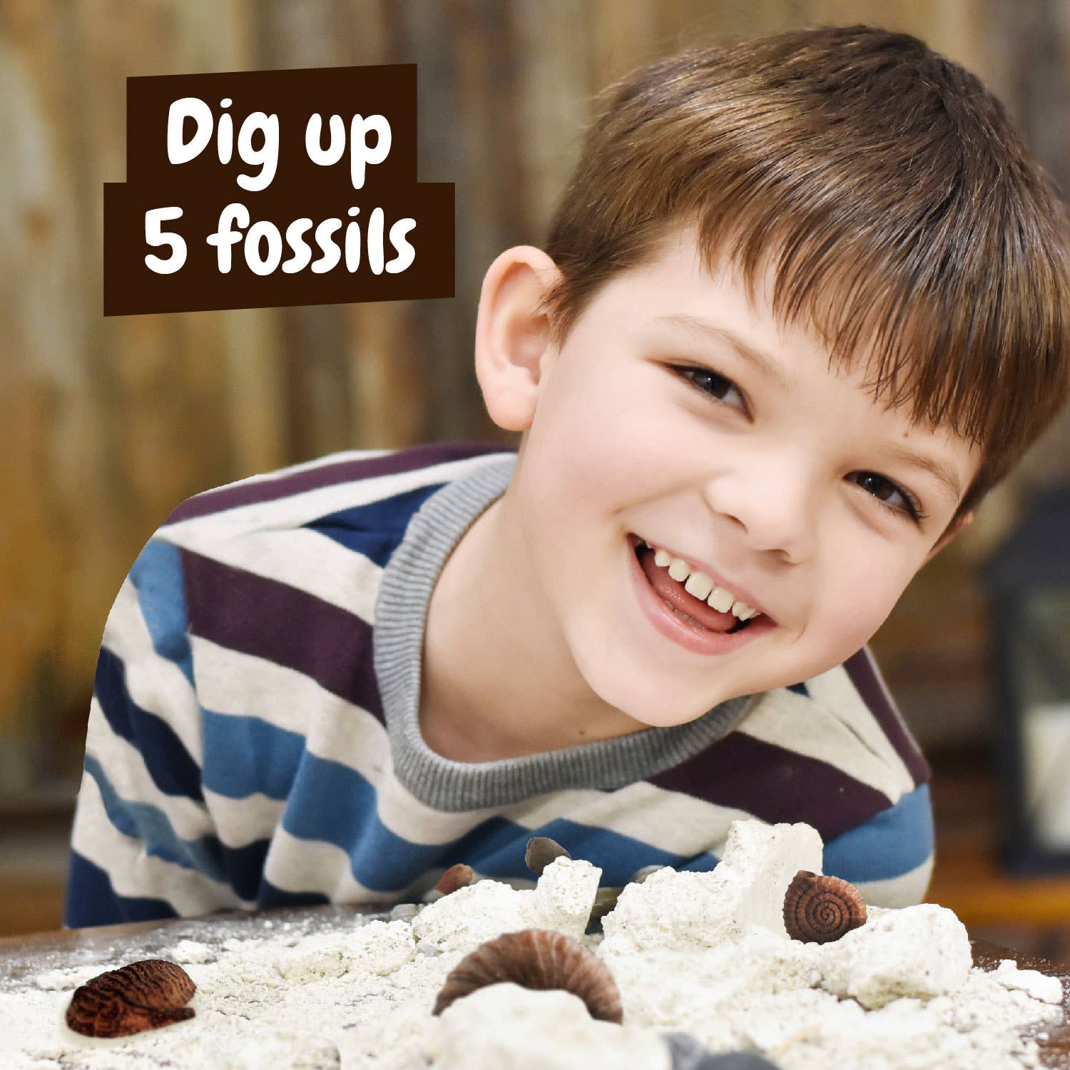 Fossils Excavations for Kids (Educational Toy 7 languages)