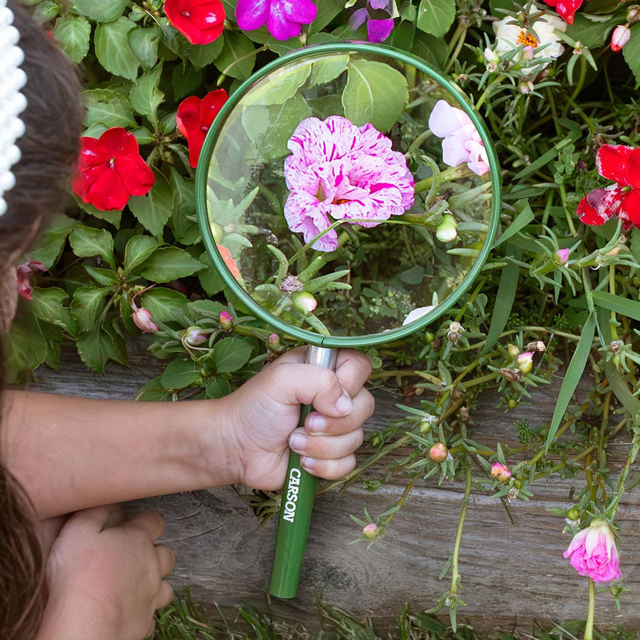 Oversized Handheld 2x Magnifying Glass- STEM Tool for Kids