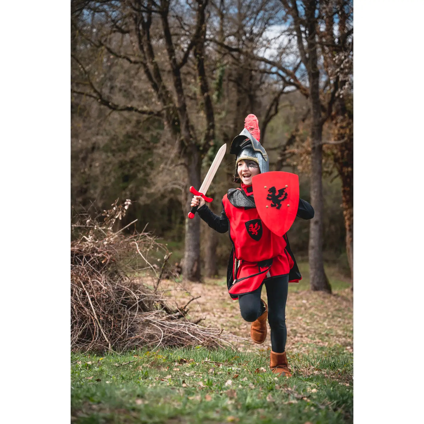 Medieval Shield