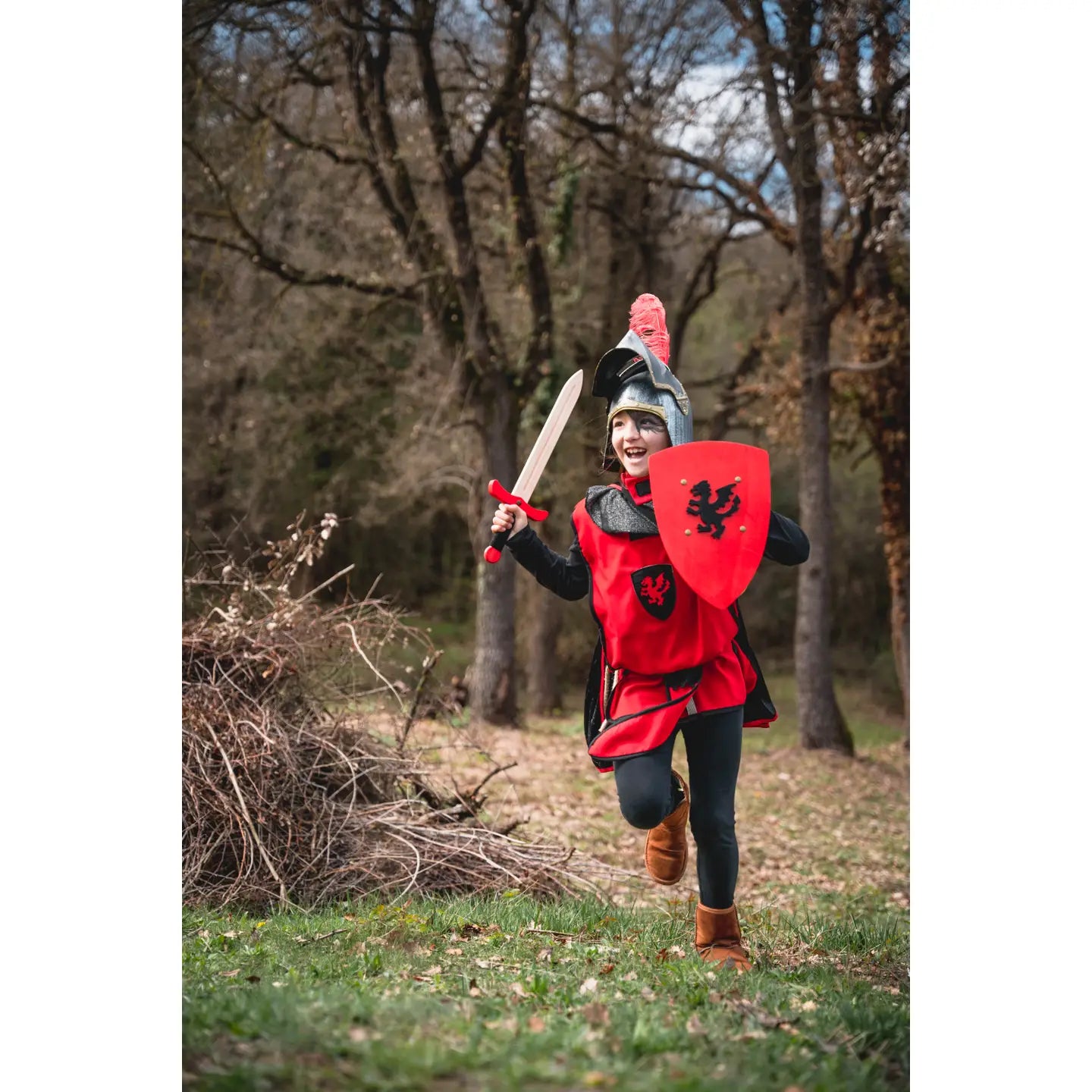 Medieval Shield