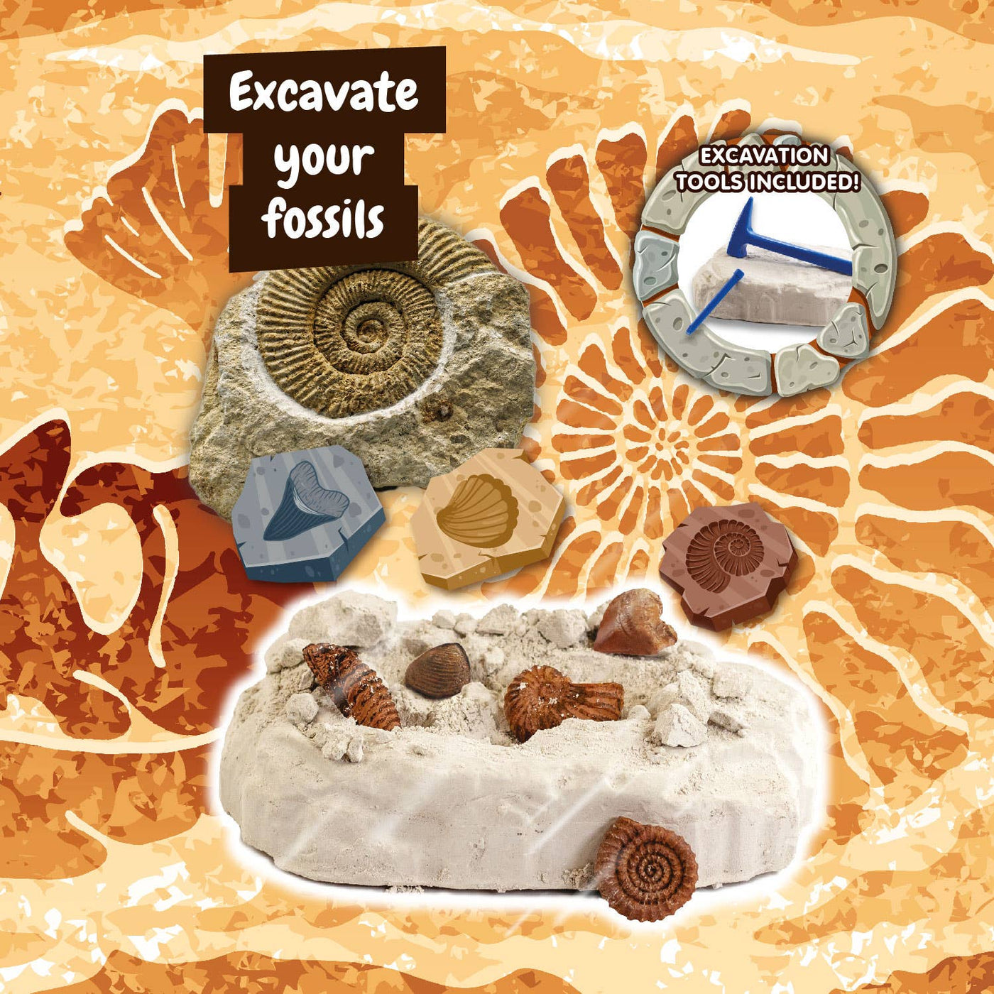 Fossils Excavations for Kids (Educational Toy 7 languages)