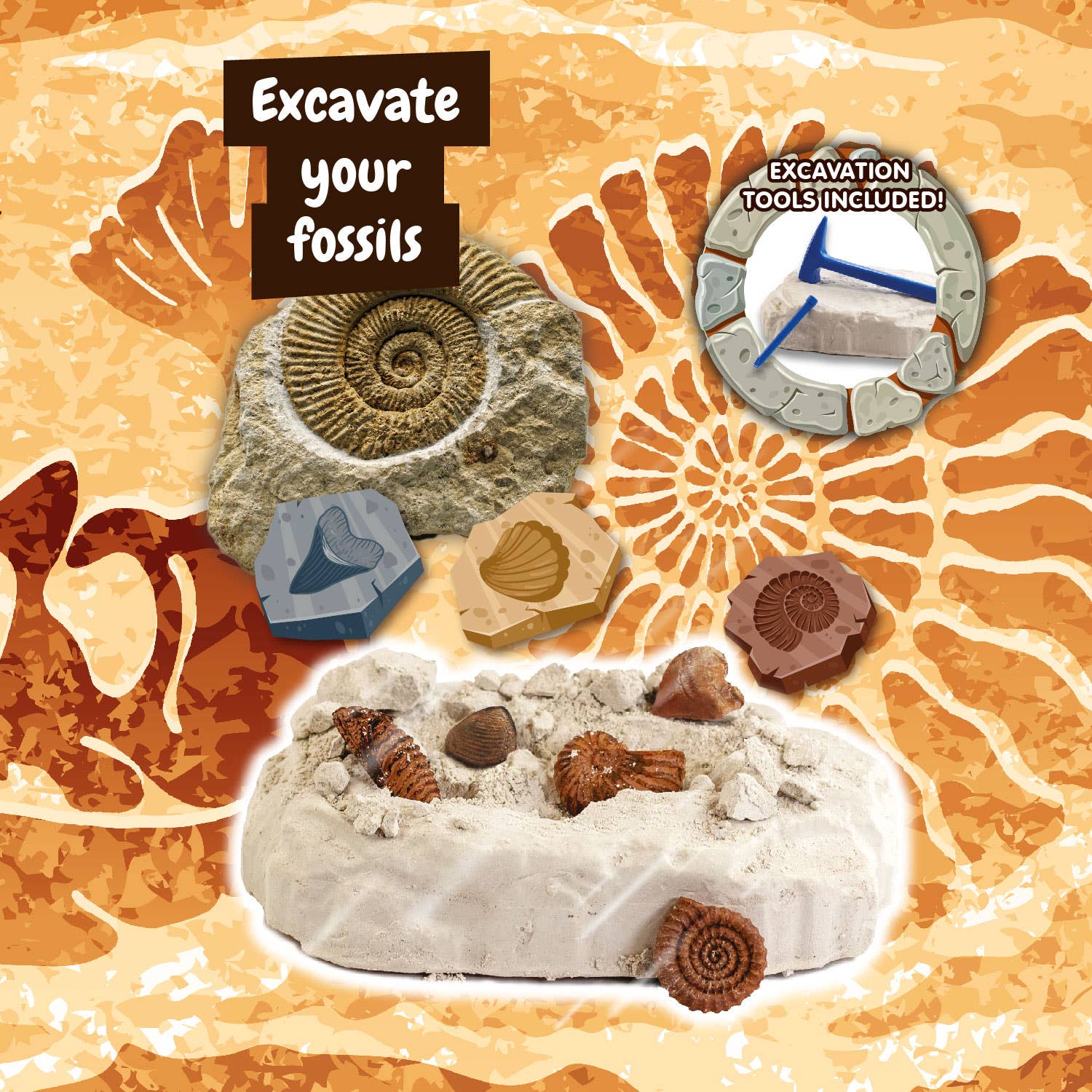 Fossils Excavations for Kids (Educational Toy 7 languages)
