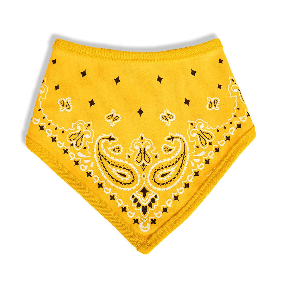 Stylish Bandana Bib