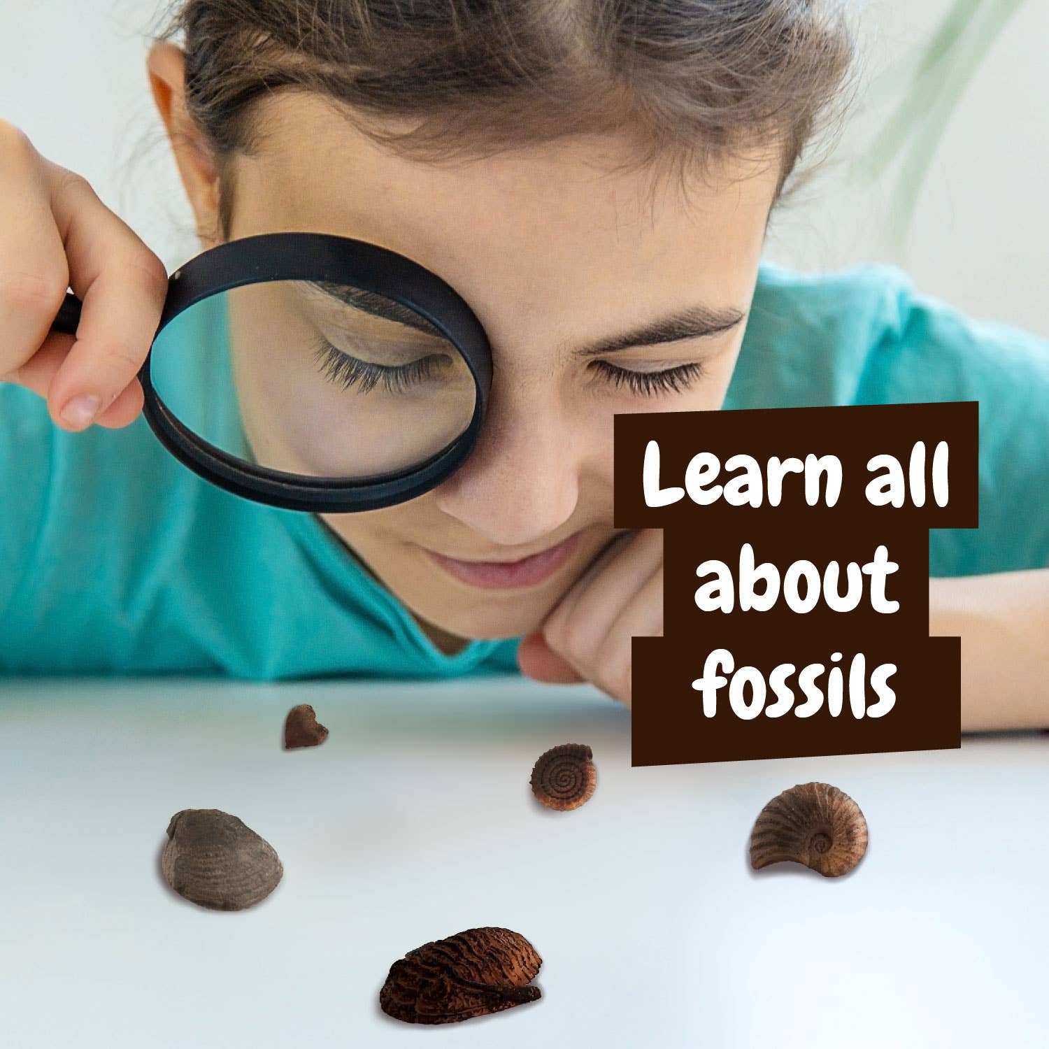 Fossils Excavations for Kids (Educational Toy 7 languages)