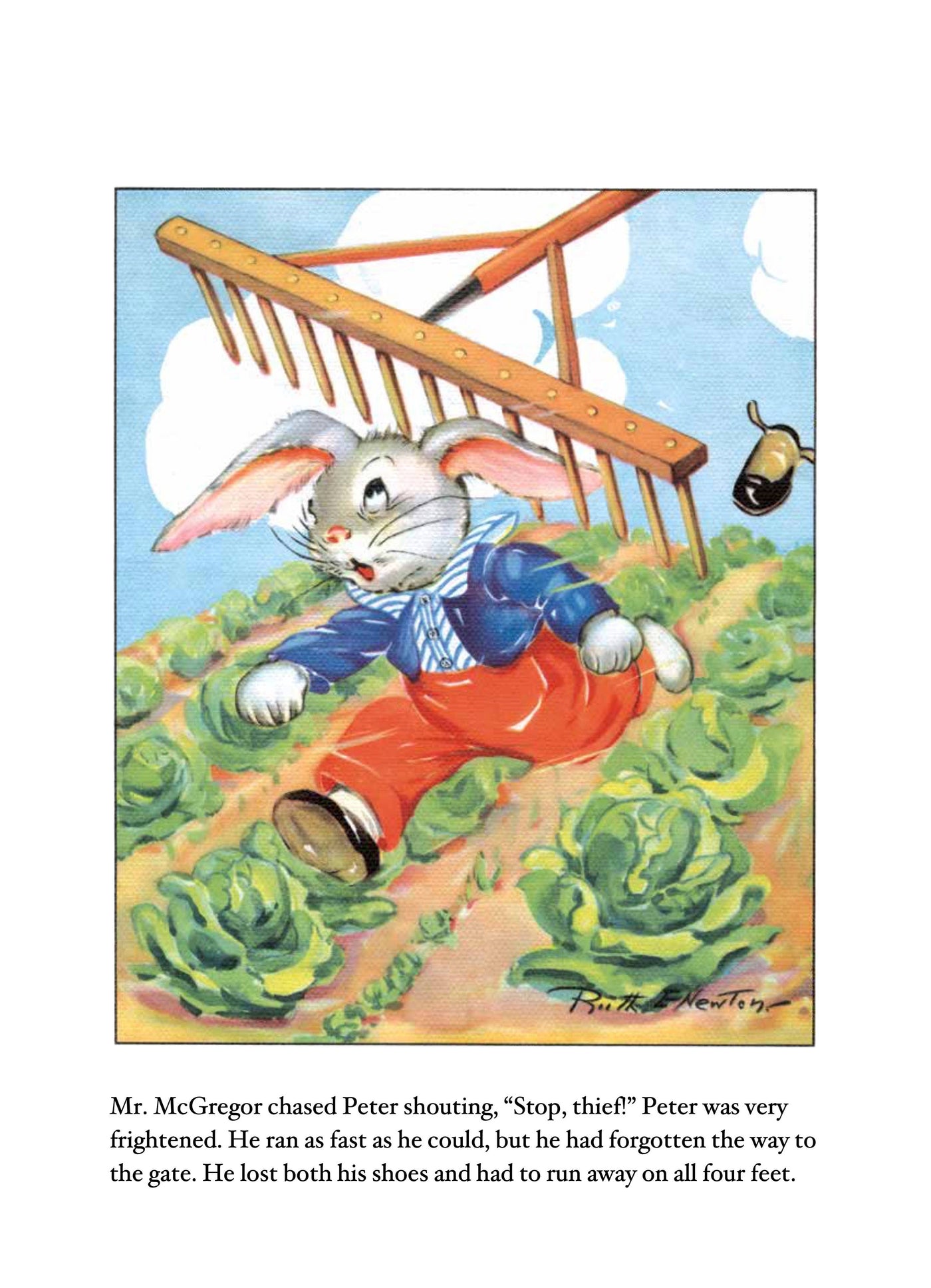 Vintage Peter Rabbit Children's Board Book