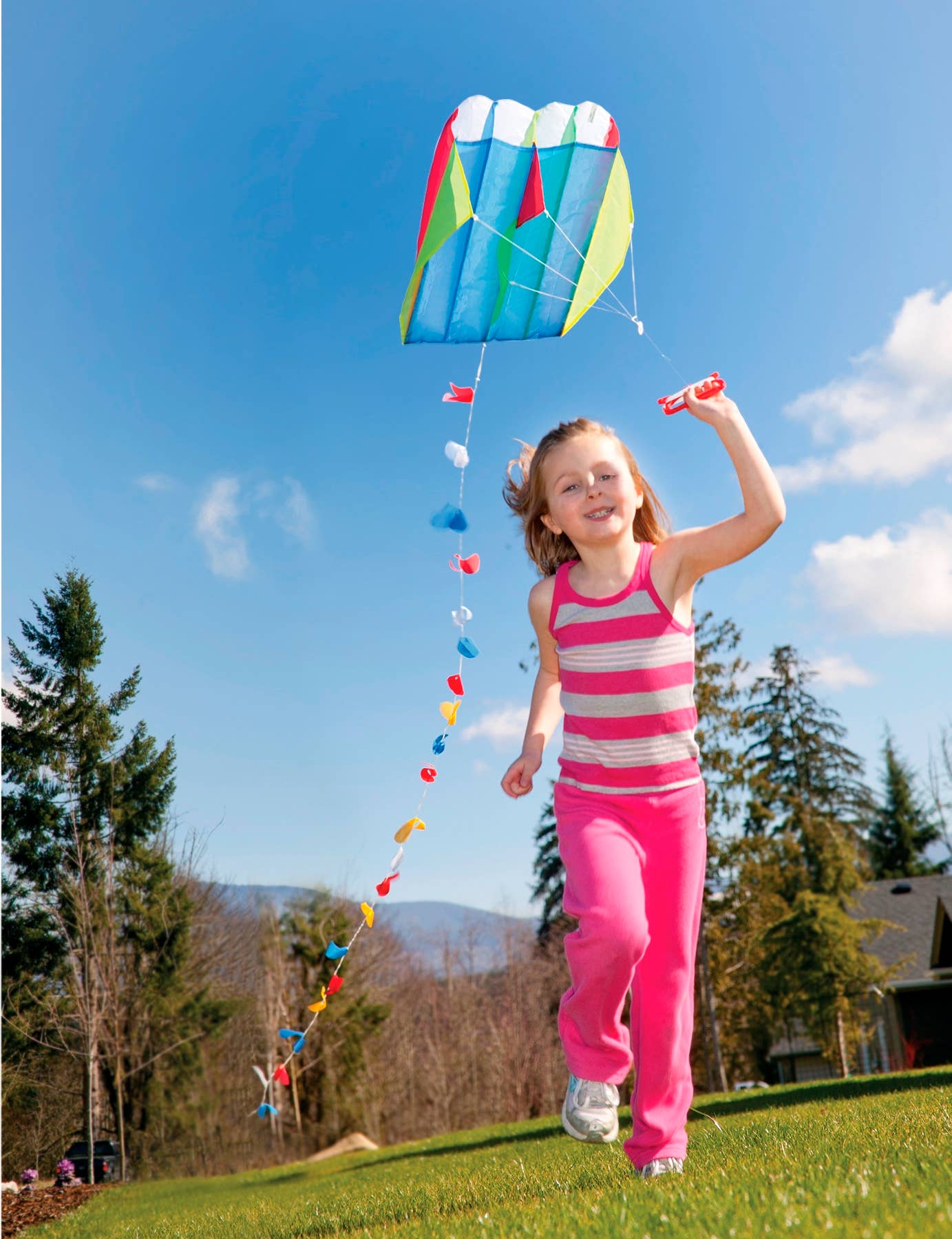 Parafoil Kite