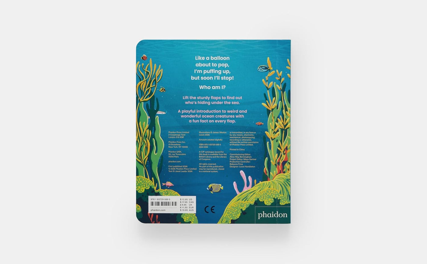 Who's hiding? Under the sea Board Book