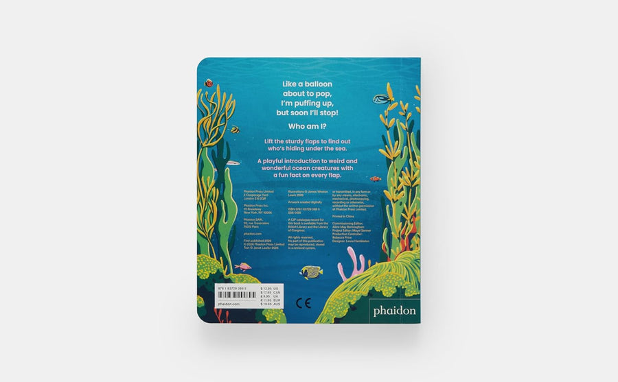 Who's hiding? Under the sea Board Book