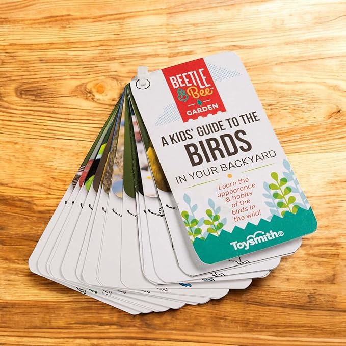 Beetle & Bee Garden Little Birder Set