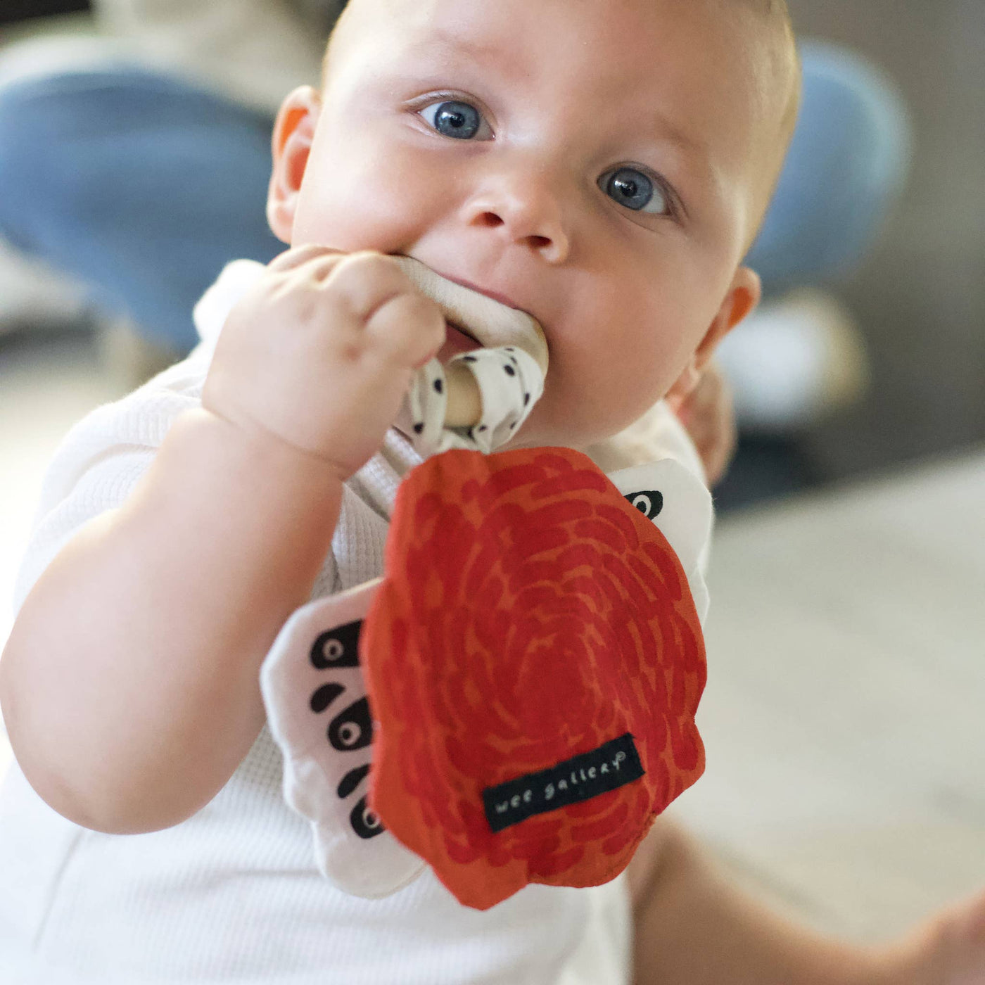 Crinkle Teether