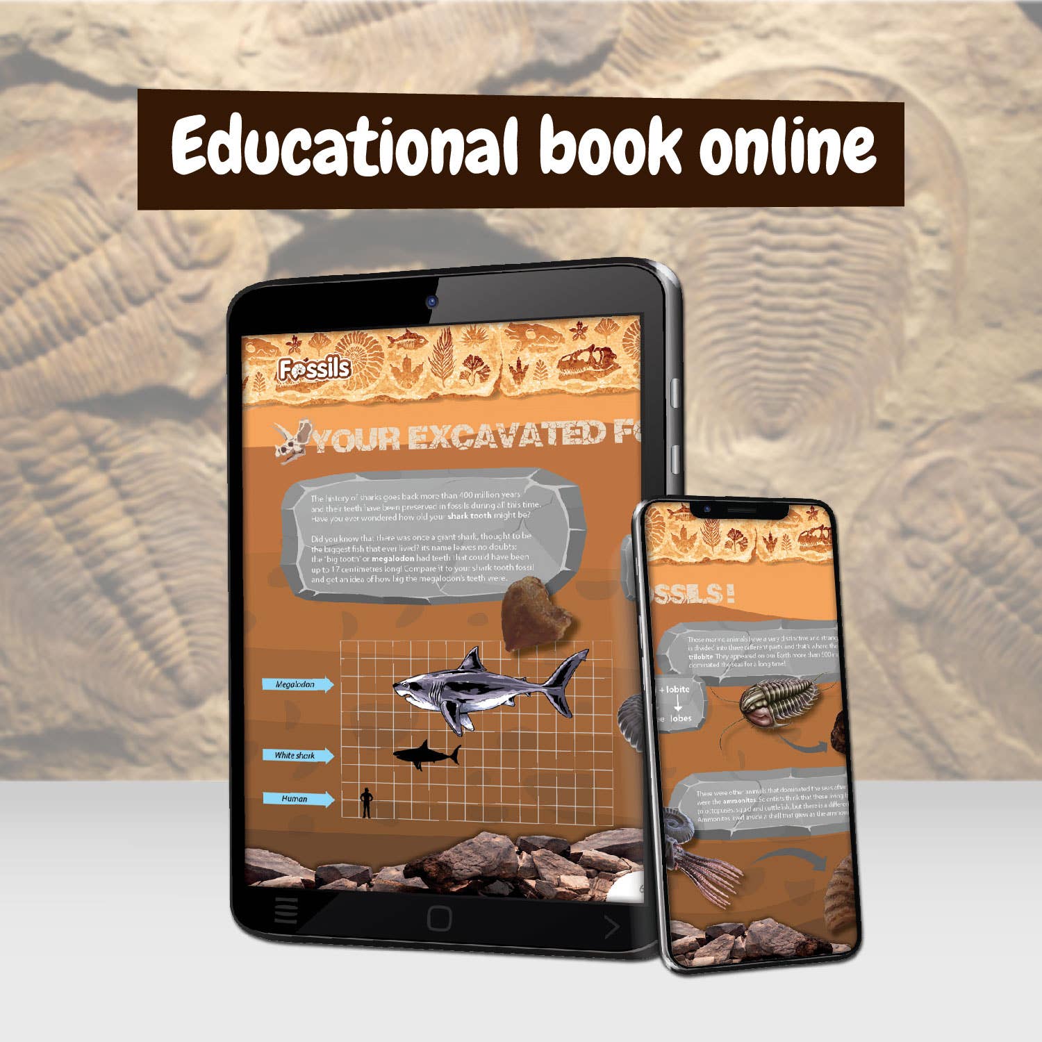 Fossils Excavations for Kids (Educational Toy 7 languages)