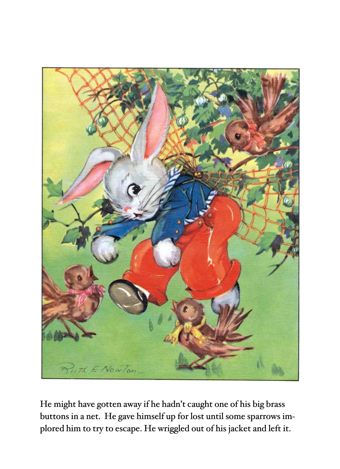 Vintage Peter Rabbit Children's Board Book