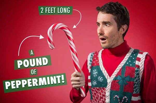 Giant Edible Candy Cane