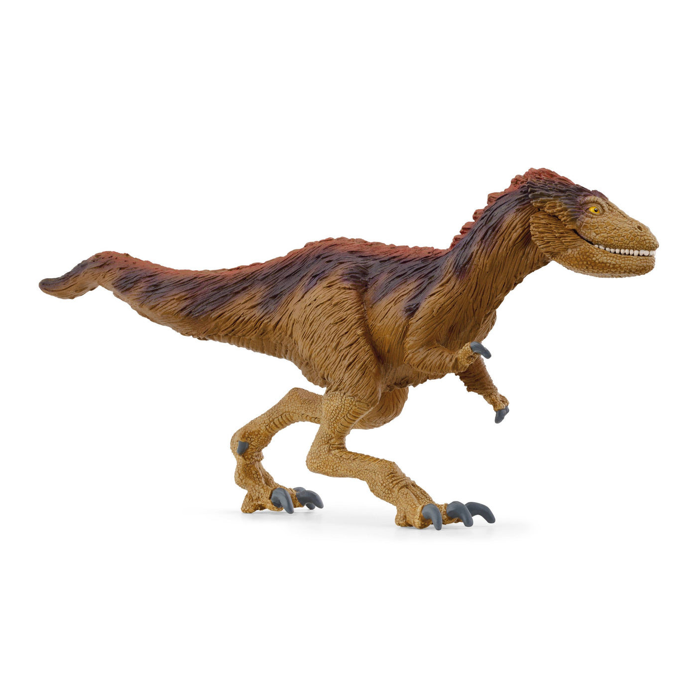 Moros Intrepidus Dinosaur with Movable Jaw