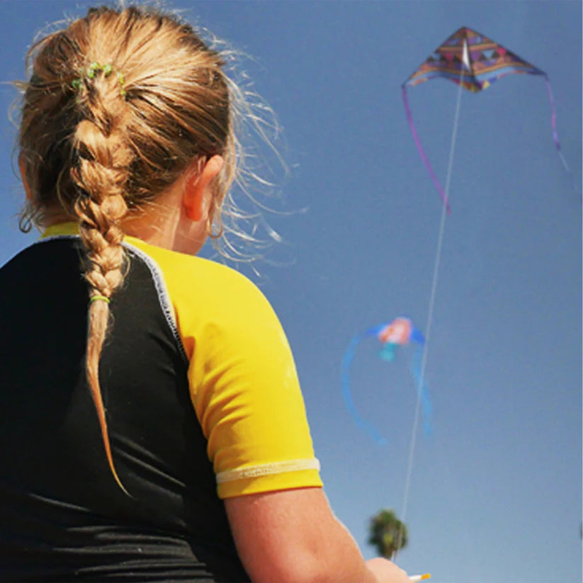 Wind Delta Kite