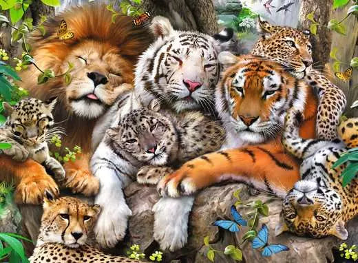 Big Cat Nap Puzzle (200pc)