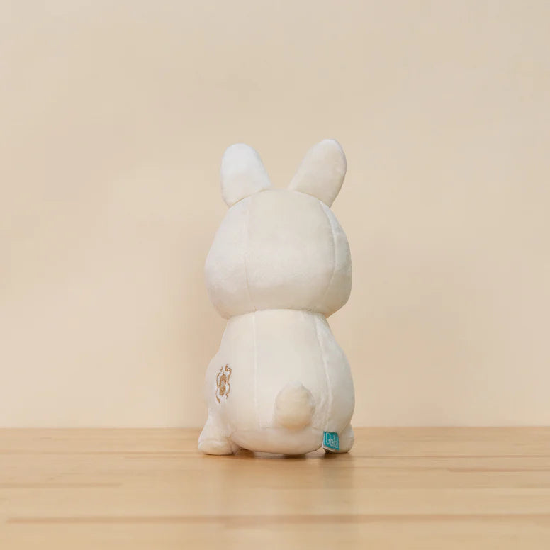 Bellzi - Bunni the Dwarf Bunny