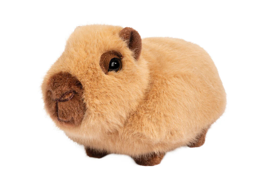 Chattie Capybara