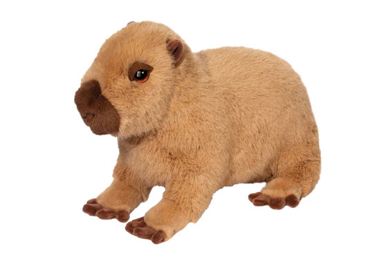 Chattie Capybara