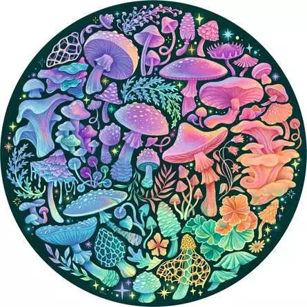 Circle of Colors Mushrooms Puzzle (500pc)