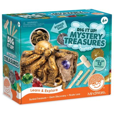 Dig It Up!: Discovery: Pirate