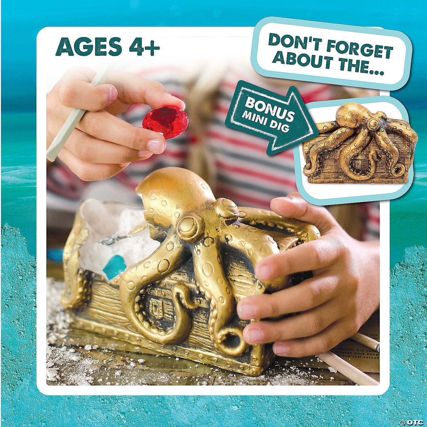 Dig It Up!: Discovery: Pirate