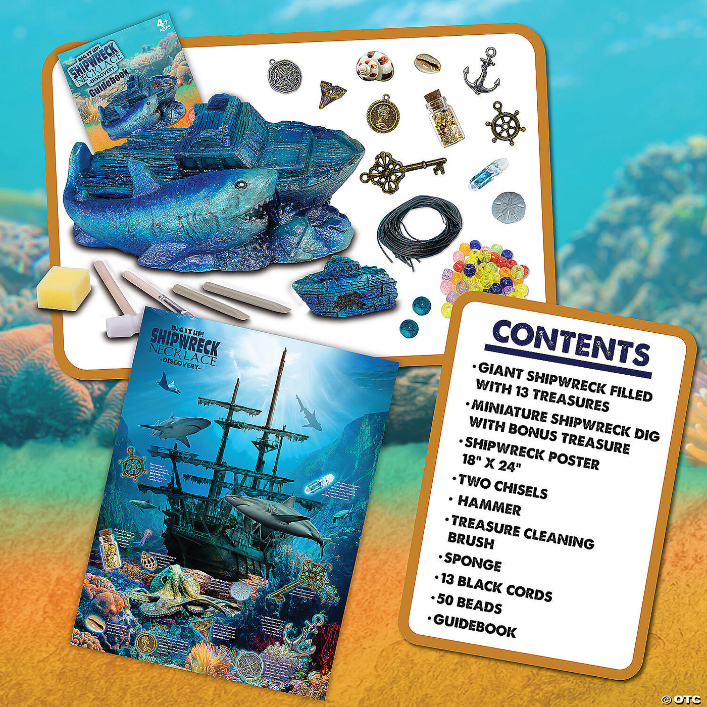 Dig It Up!: Shipwreck Discovery