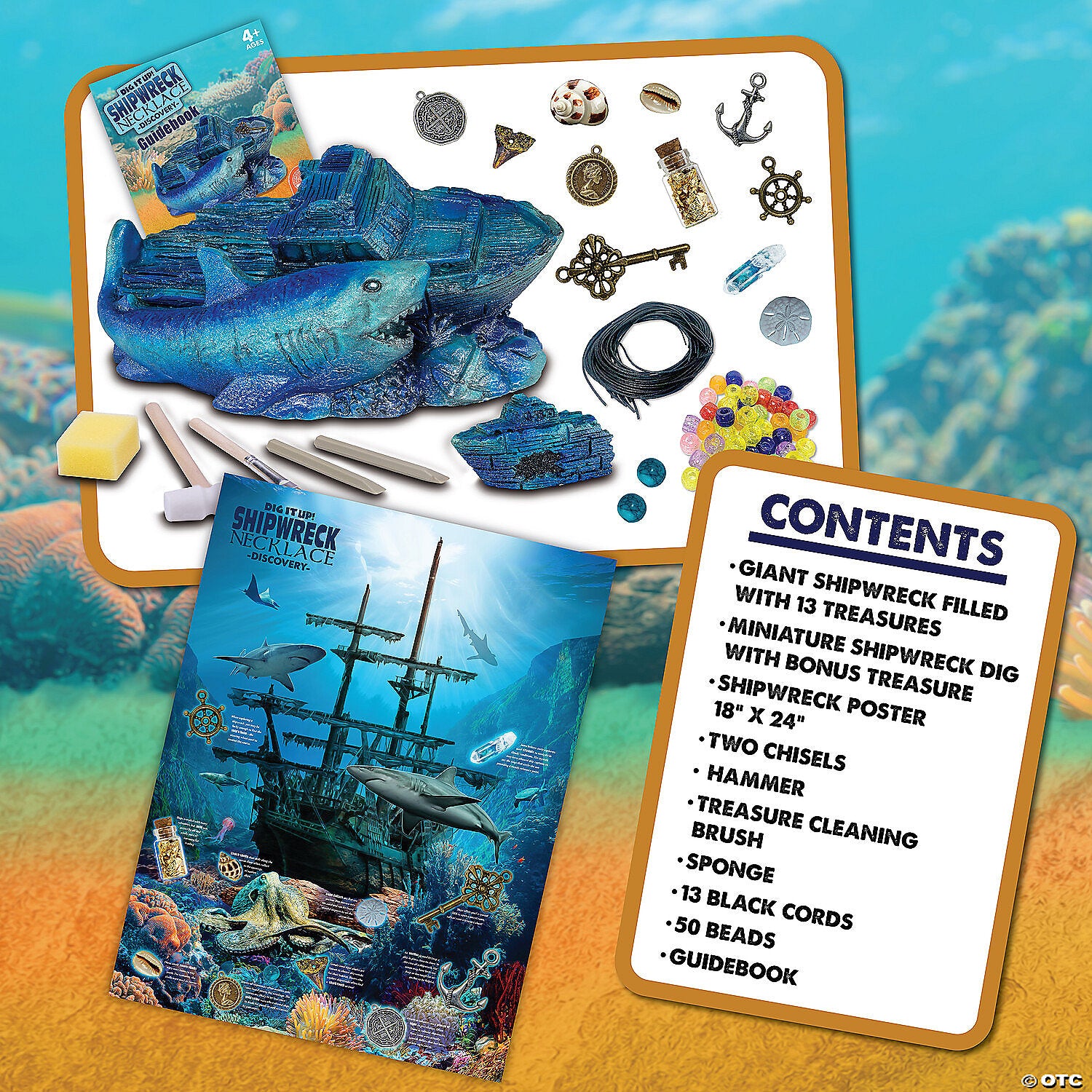 Dig It Up!: Shipwreck Discovery