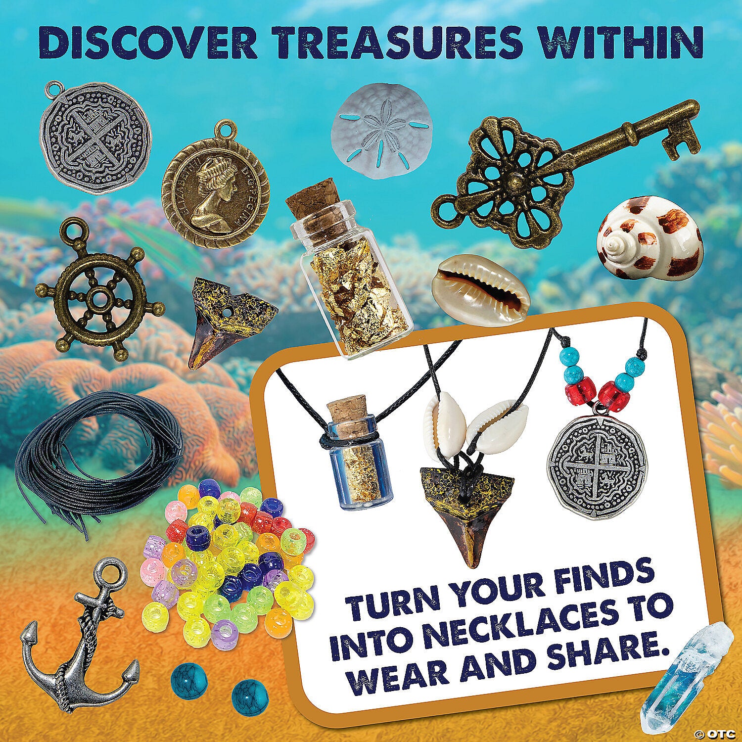 Dig It Up!: Shipwreck Discovery