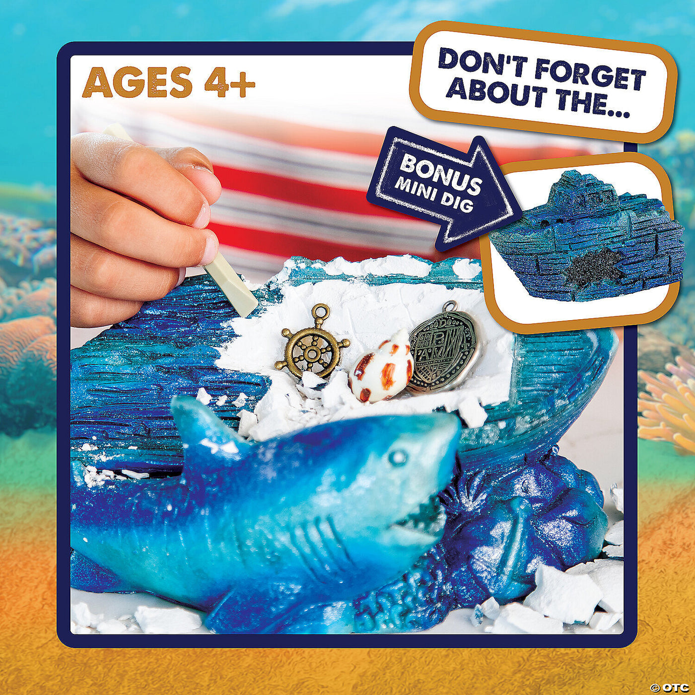 Dig It Up!: Shipwreck Discovery