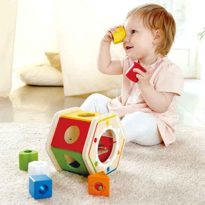 Wooden Wonder Shape Sorter