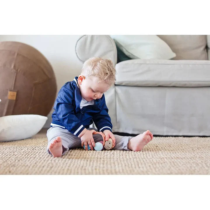 Turbo Turtle Push-Along Teether
