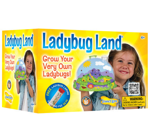 Ladybug Land with Voucher