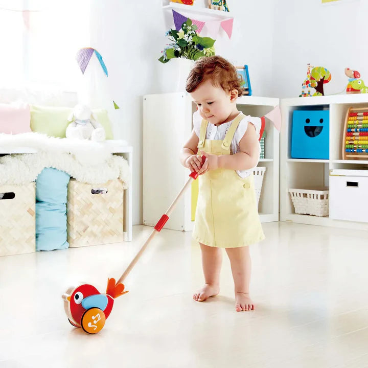 Lilly Musical Push Along Bird