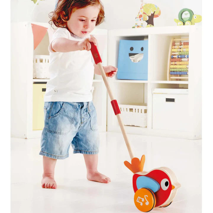 Lilly Musical Push Along Bird