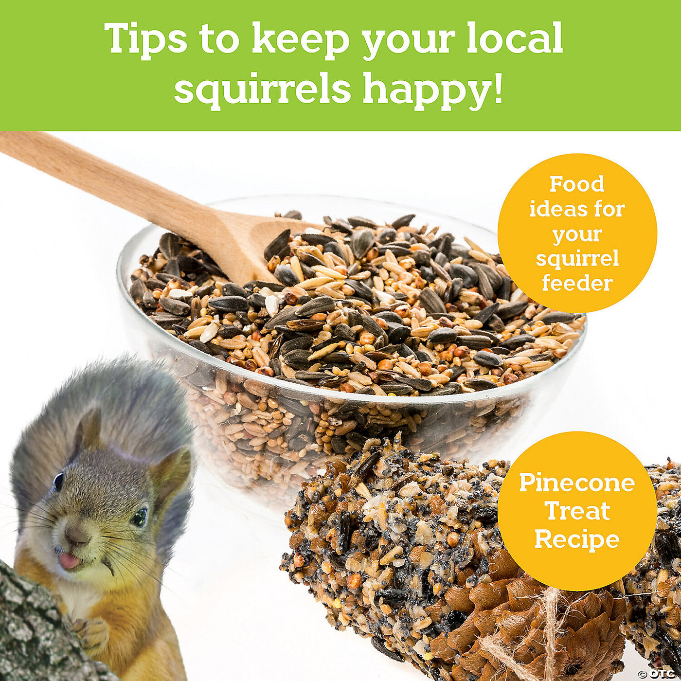 Make Your Own Squirrel Feeder