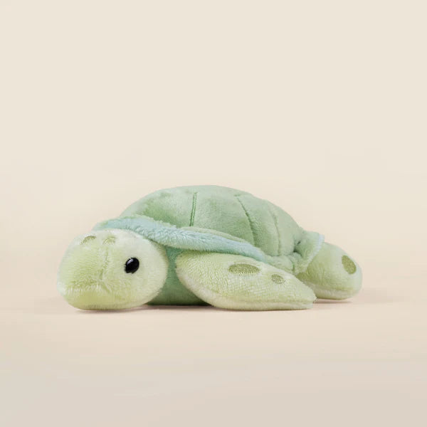 Bellzi - Mini Sea Torti