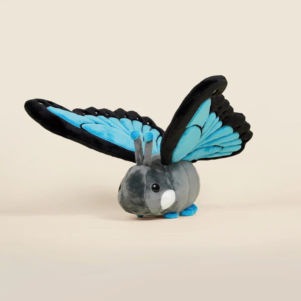 Bellzi - Morpho Butti the Butterfly