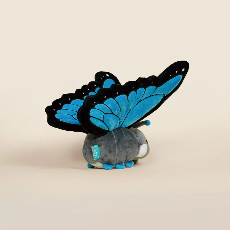 Bellzi - Morpho Butti the Butterfly