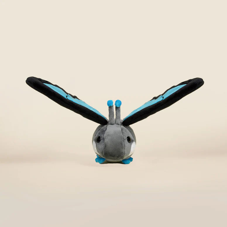 Bellzi - Morpho Butti the Butterfly