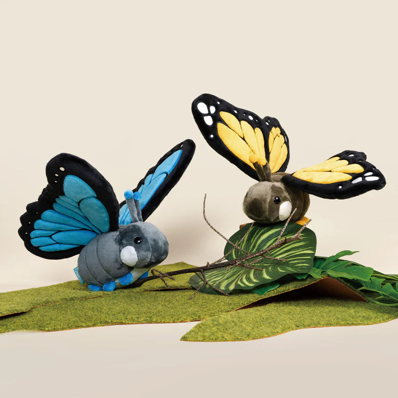 Bellzi - Morpho Butti the Butterfly