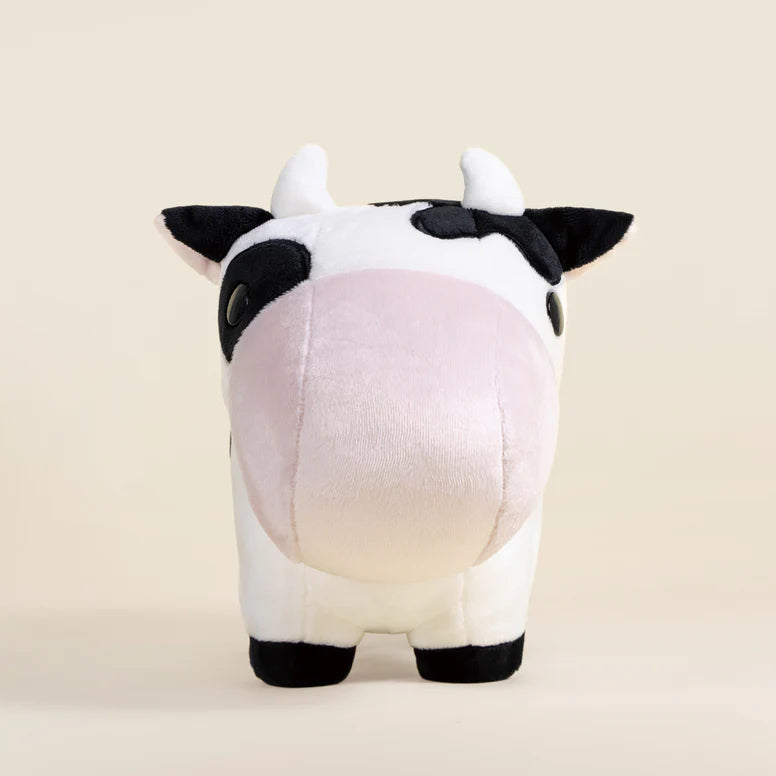 Bellzi - Mooi
