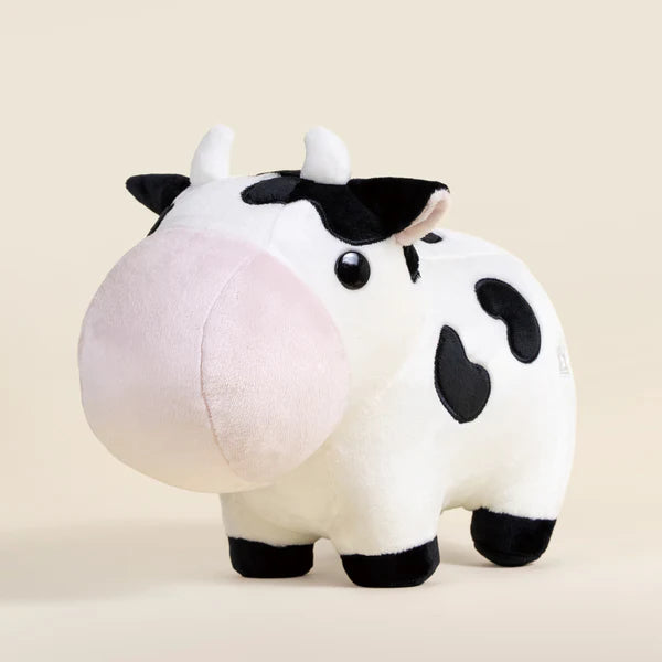 Bellzi - Mooi
