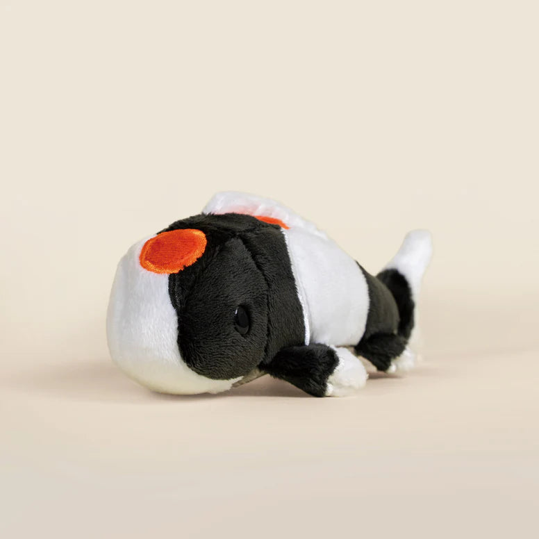 Bellzi - Mini Showa Koi