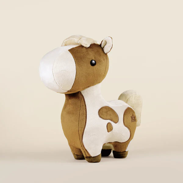 Bellzi - Pinto Horsi the Pinto Horse