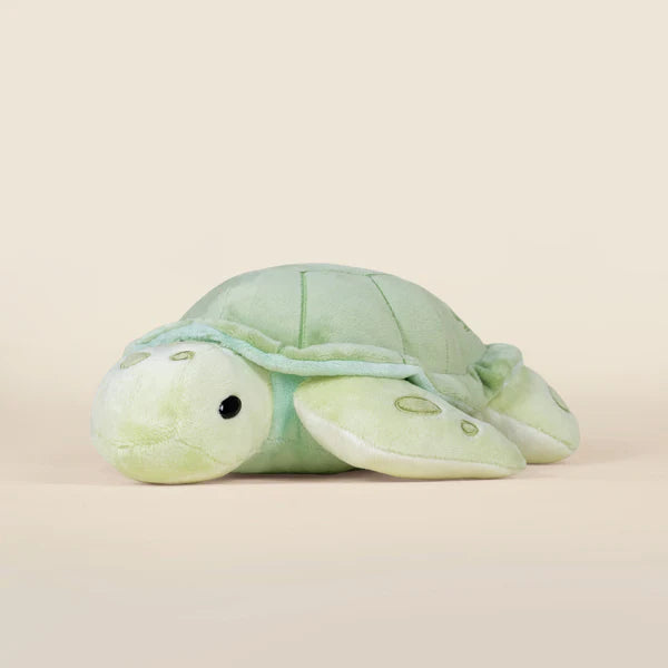Bellzi - Sea Torti the Sea Turtle