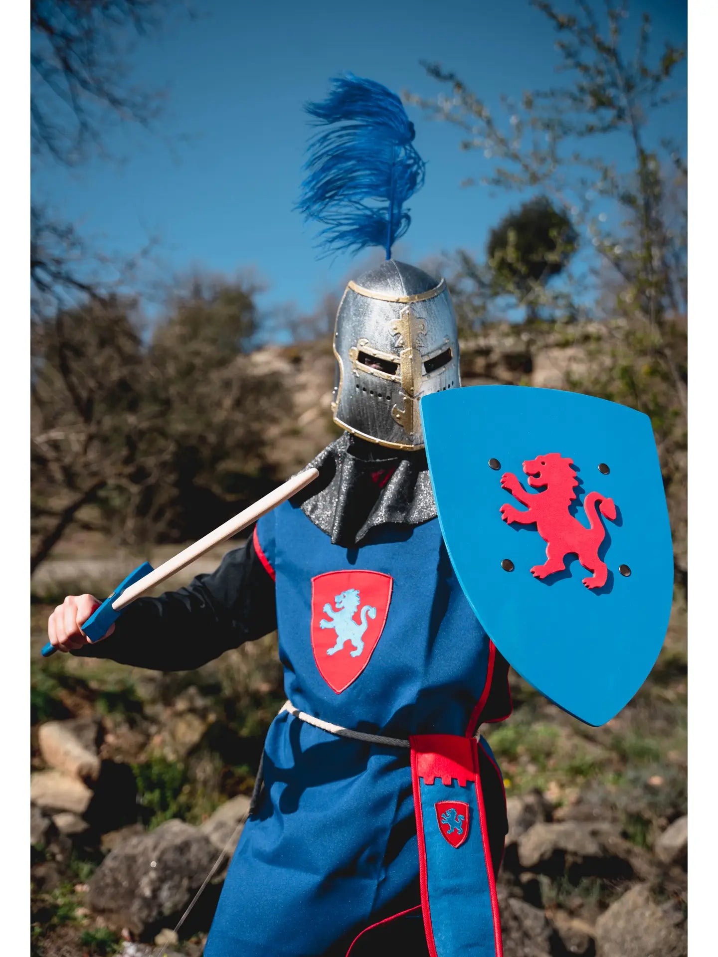 Medieval Tabard